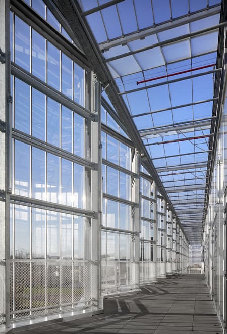 Rooftop Greenhouse Agrotopia